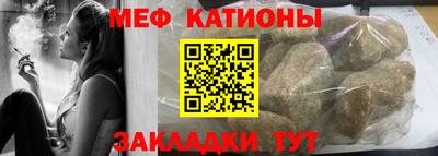 шишки Будённовск