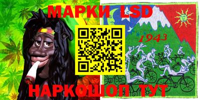шишки Будённовск