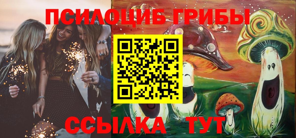 где можно купить наркотик  Псилоцибиновые грибы Cubensis  Вход с VPN  Чапаевск 