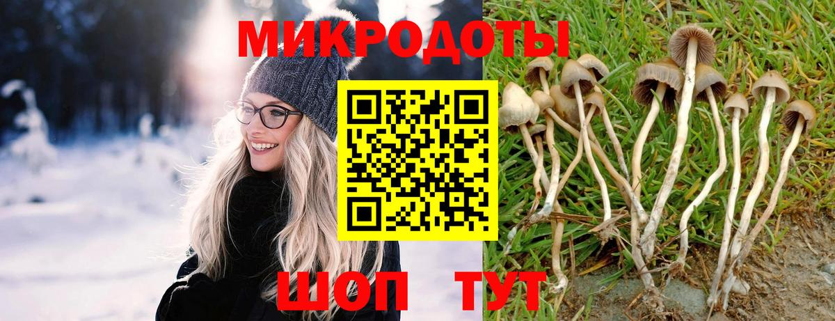 Галлюциногенные грибы ЛСД Чапаевск